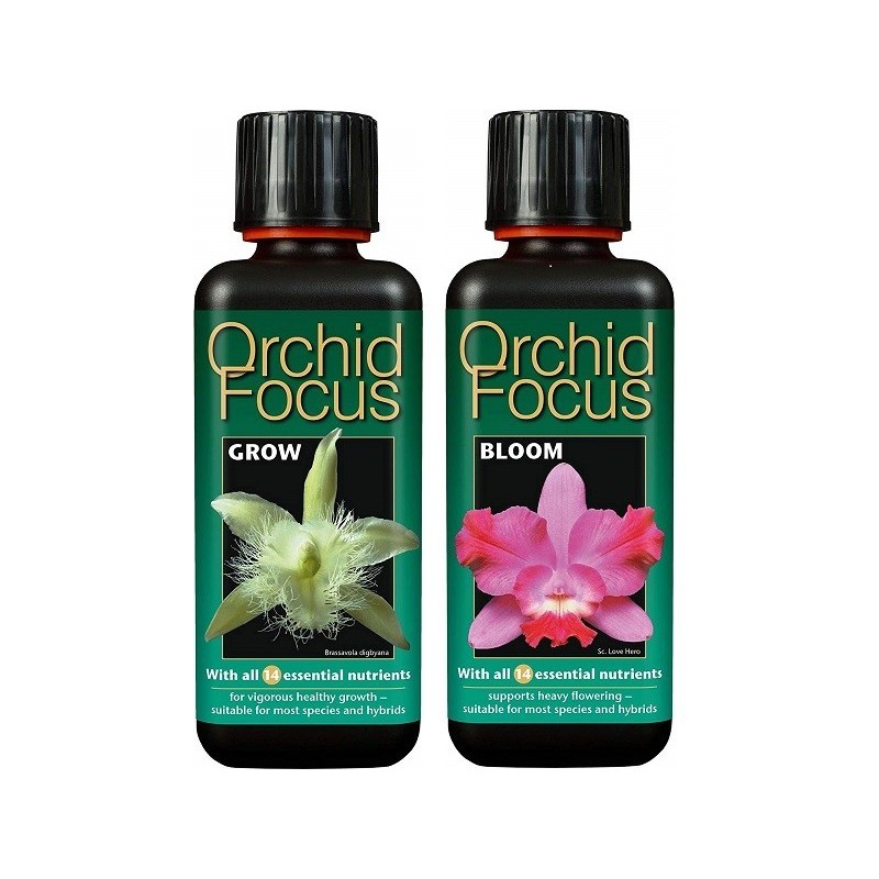 ORCHID FOCUS Grow Bloom